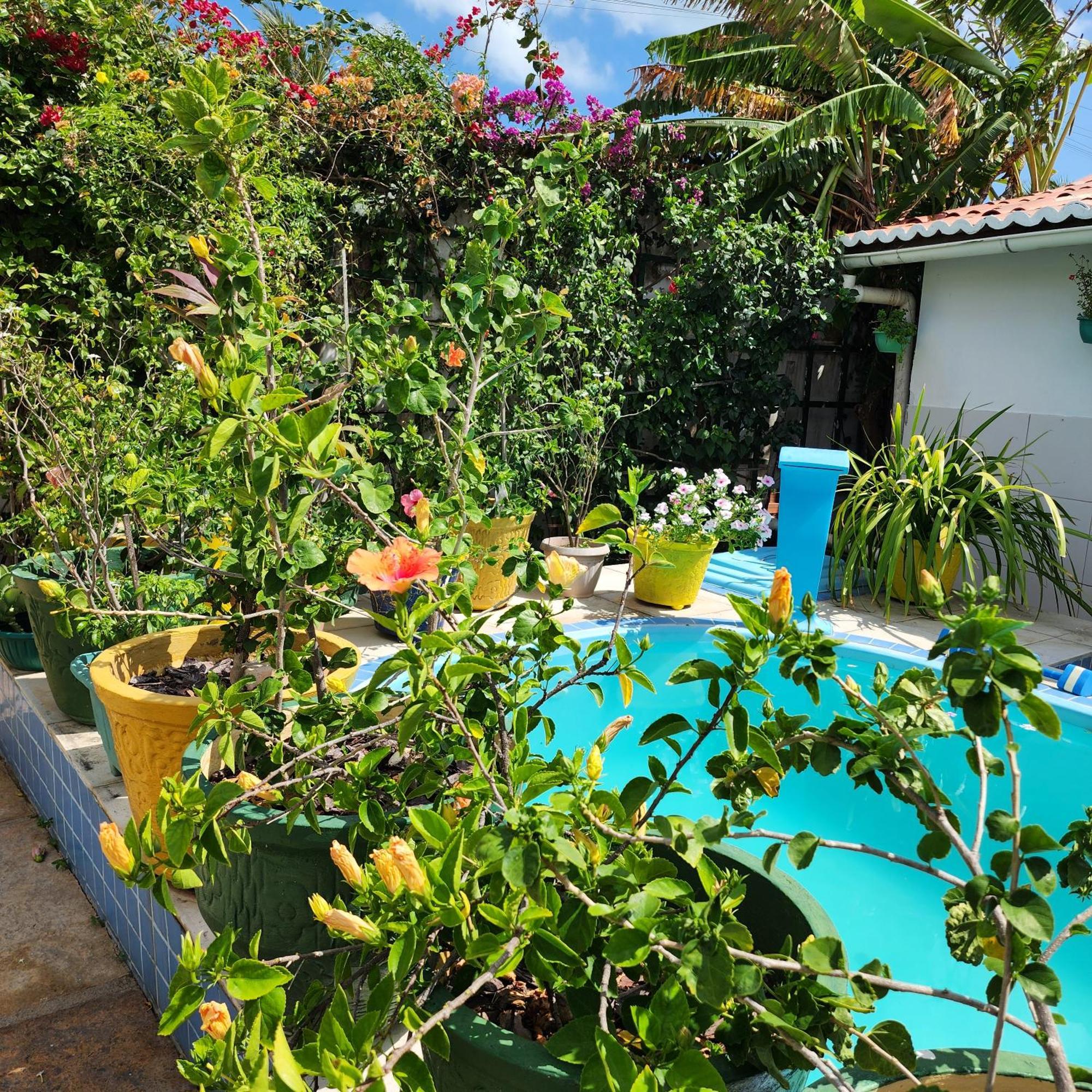 Mandala Dreams Pousada E Portal Holistico Maceió Buitenkant foto