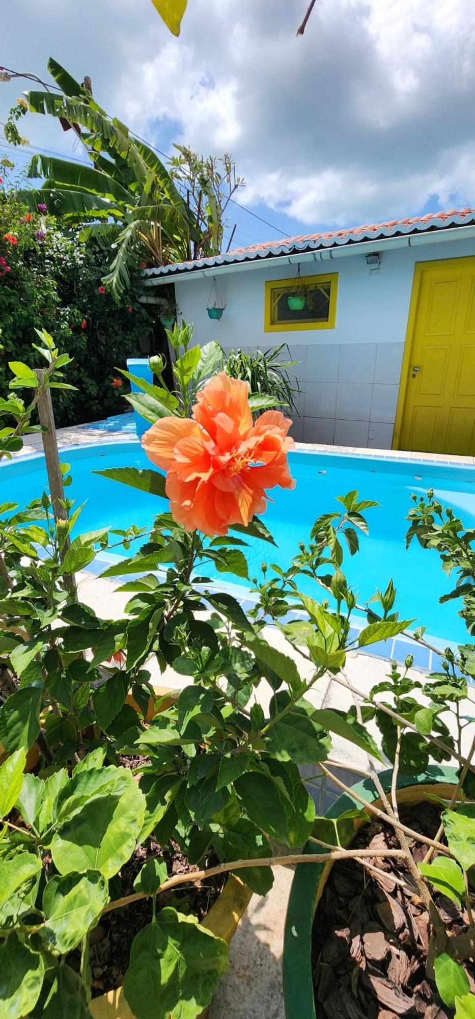 Mandala Dreams Pousada E Portal Holistico Maceió Buitenkant foto