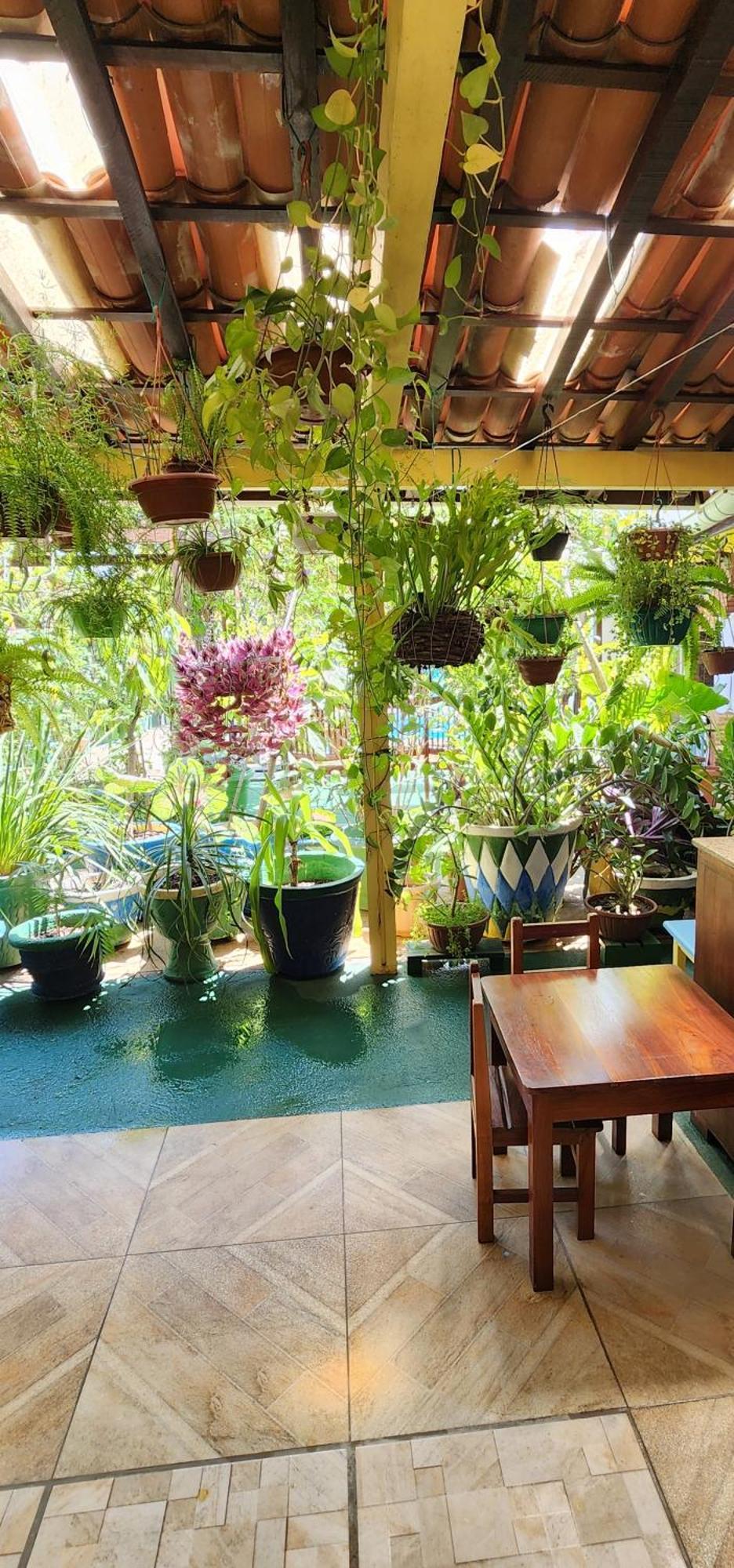 Mandala Dreams Pousada E Portal Holistico Maceió Buitenkant foto