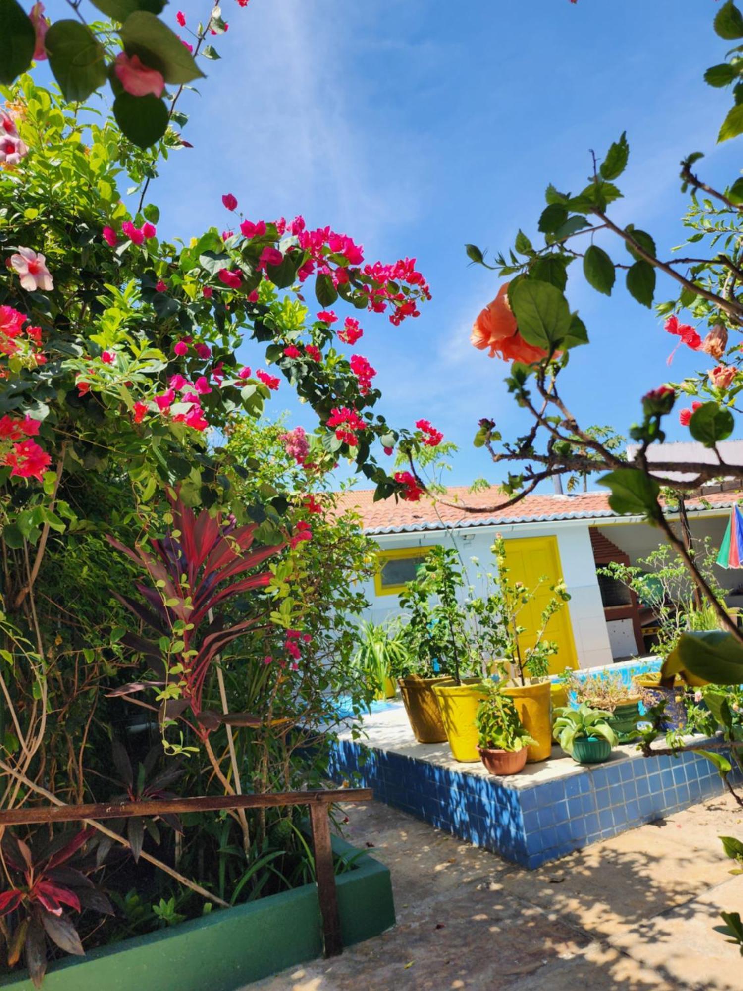 Mandala Dreams Pousada E Portal Holistico Maceió Buitenkant foto